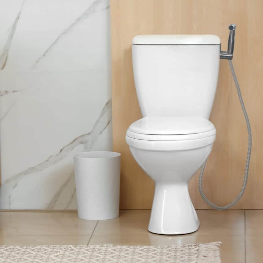 Getting To Know Five Types Of Toilets For Your Home Archify