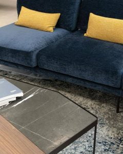 Sofa And Cofee Table