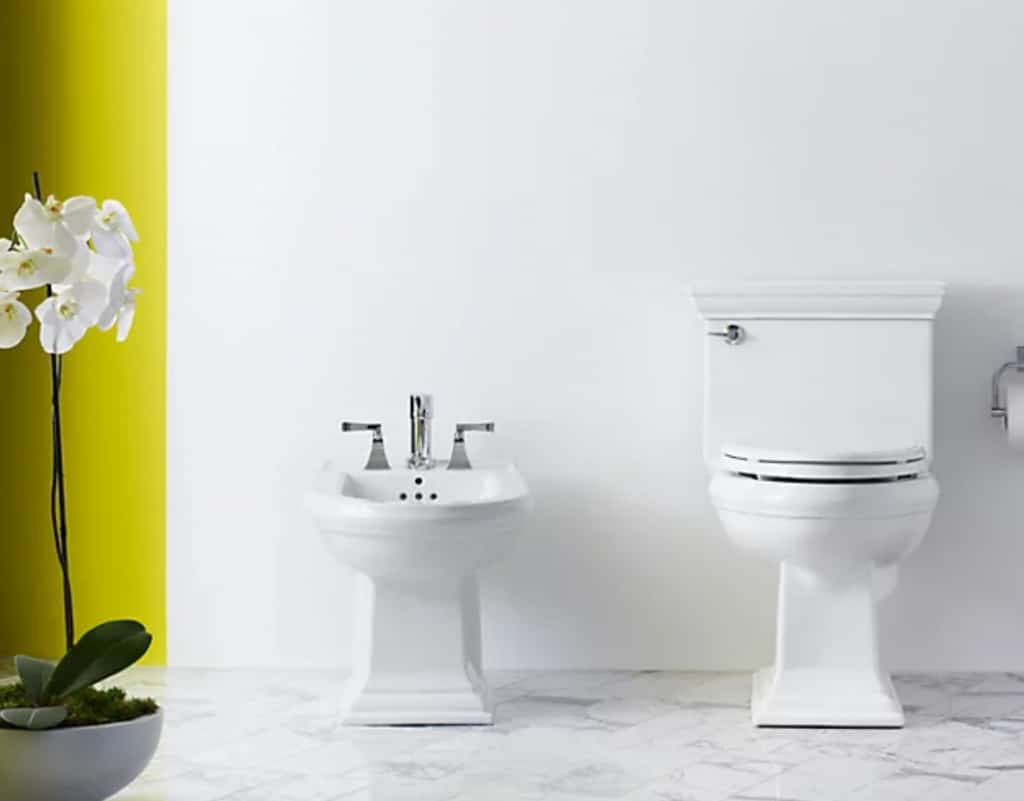 [Bidet and toilet next to each other in a bathroom