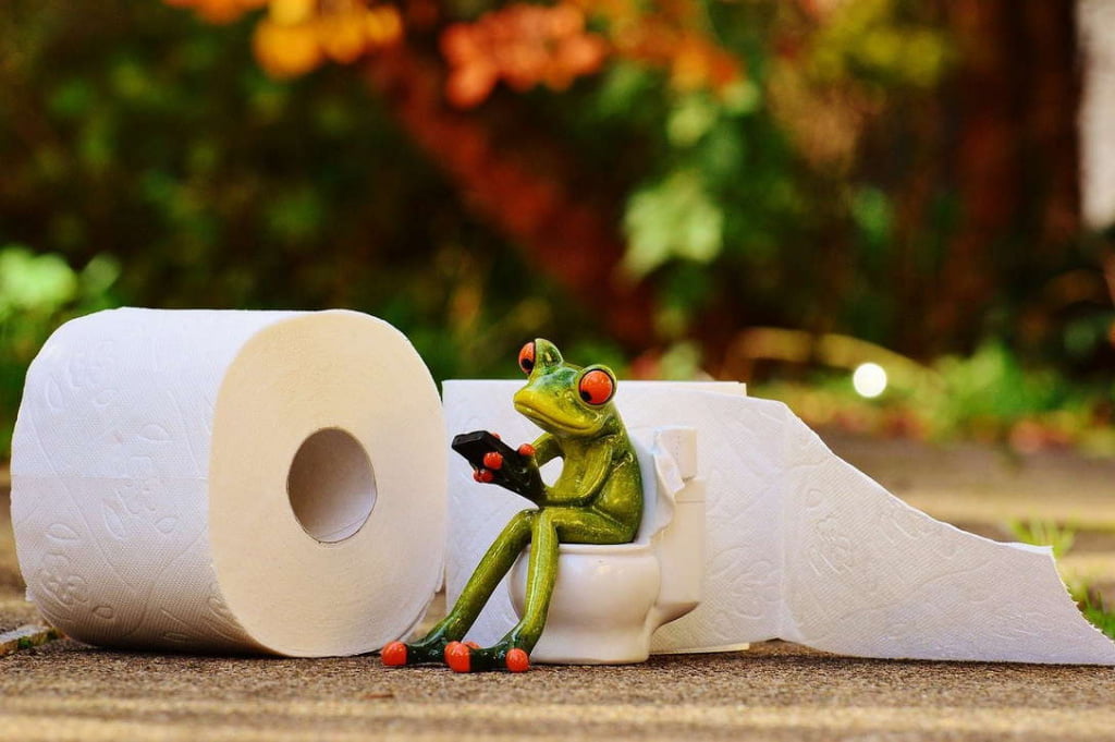 Cartoon frog sitting on a mini toilet next to a regular toilet paper roll